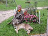 Vilks