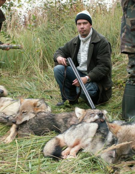 Vilks