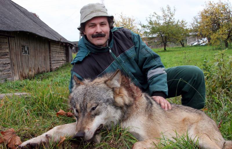 Vilks