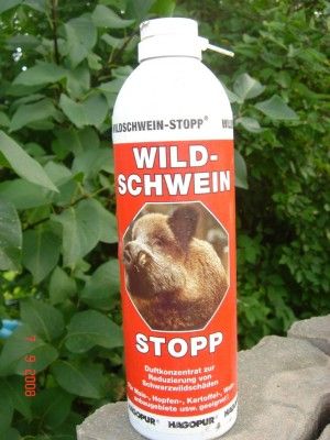 Slēpts