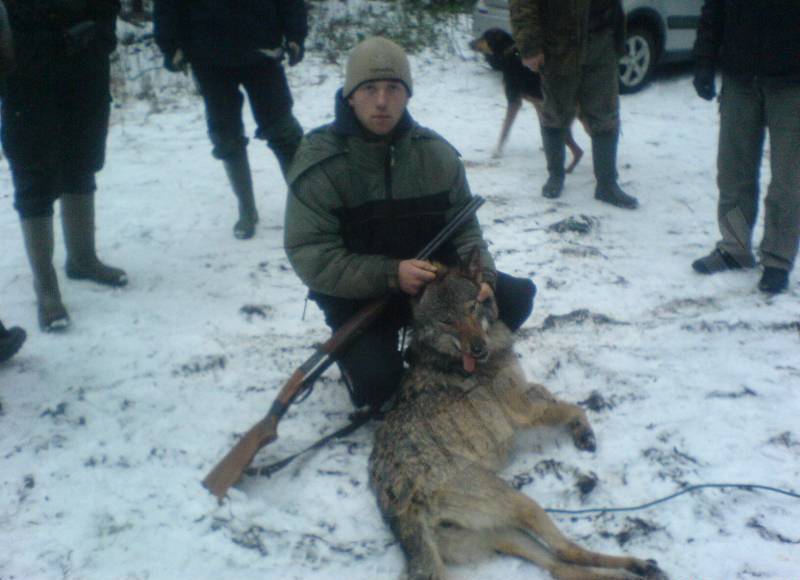 Vilks