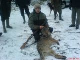 Vilks