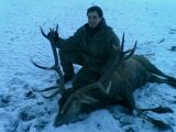 Briedis