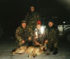 Vilks