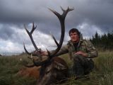 Briedis