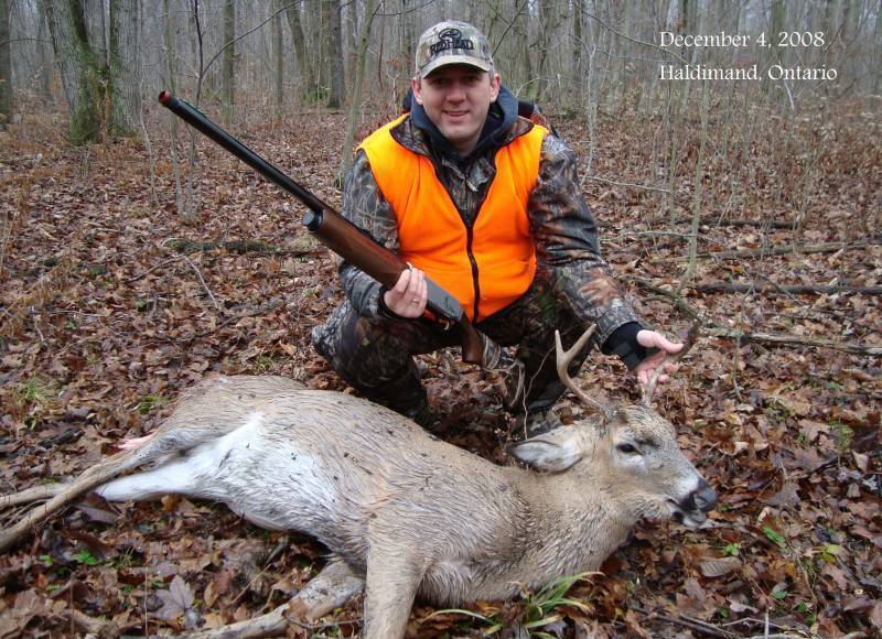 Whitetail Buck
