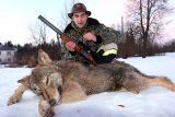 Vilks