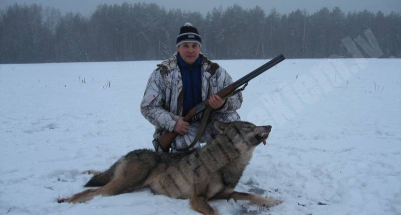Vilks