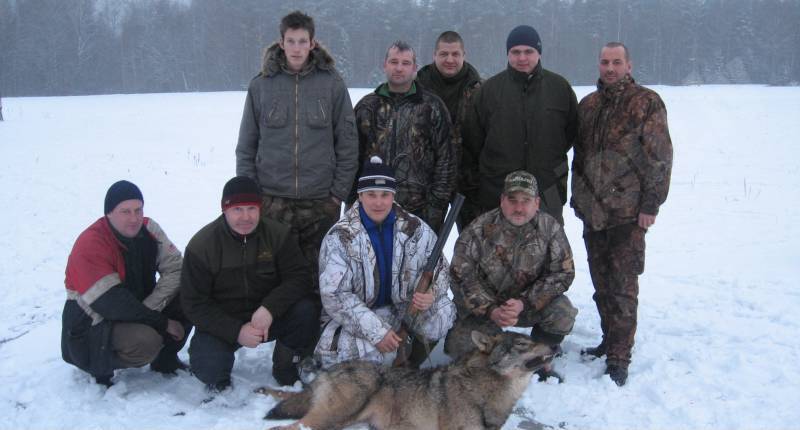 Vilks