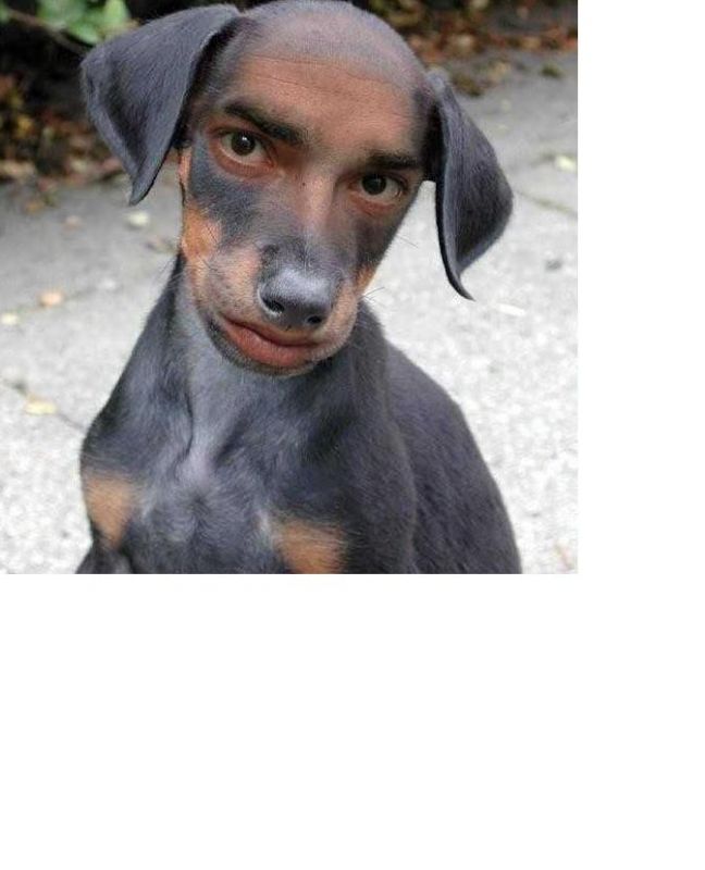 Krišs