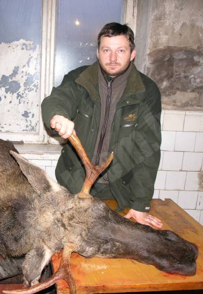 Alnis 2007