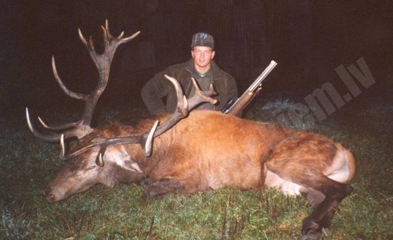 Briežu bullis