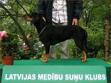 Vienkārši pozējam.