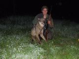 Vilks