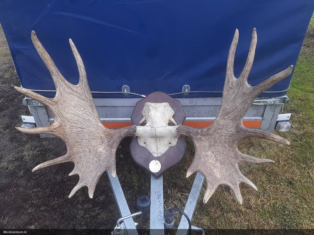 Alņa Trofeja