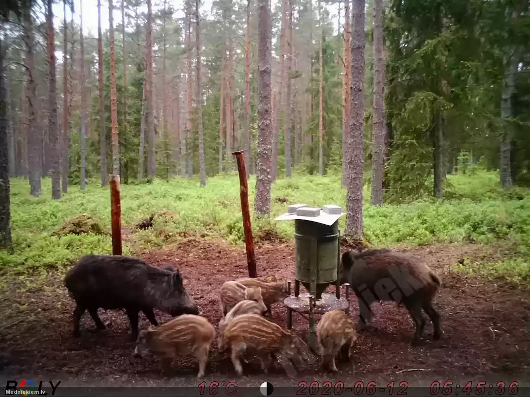 Jaunā paaudze pidžamās