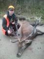 Briedis