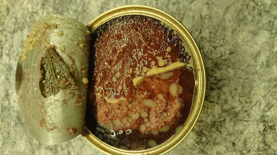 Slēpts
