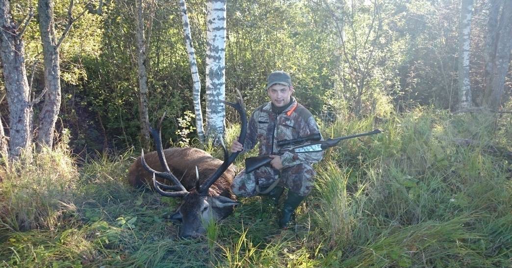 Baura briedis
