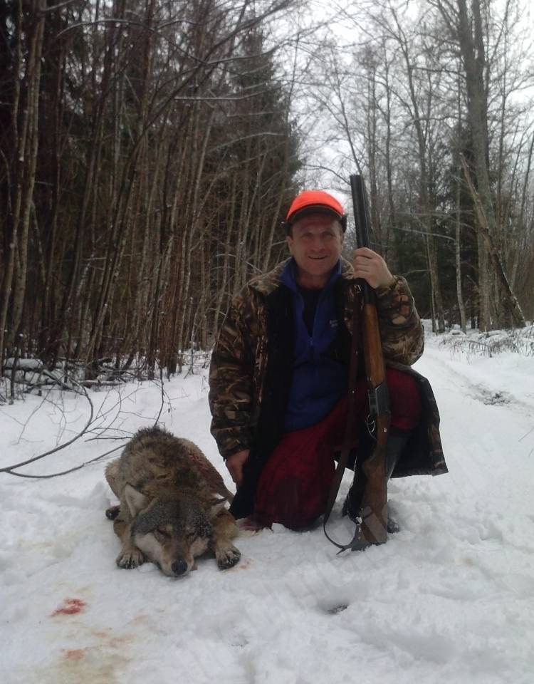 Vilks
