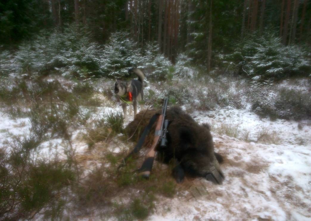 Ruksīts