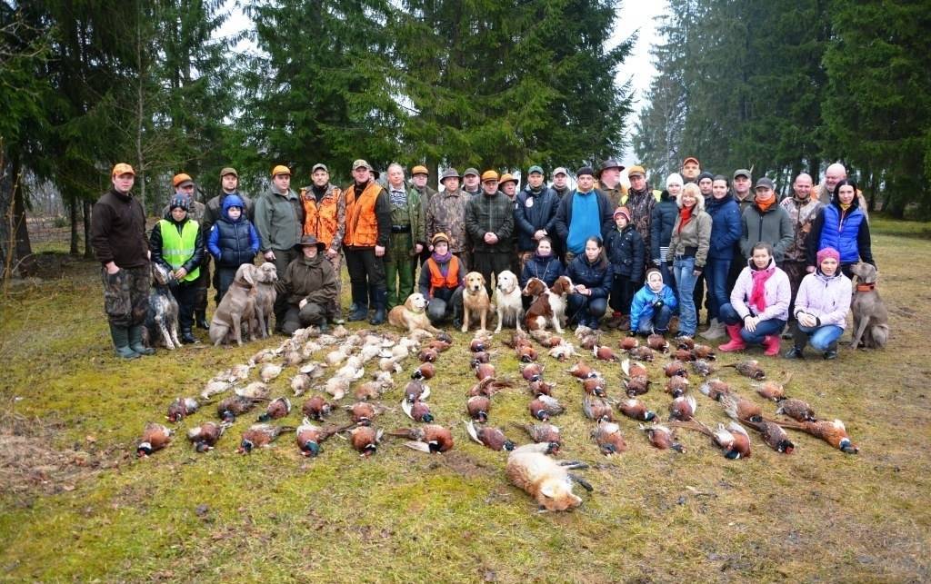 M/k Plauži 2015 fāzāni