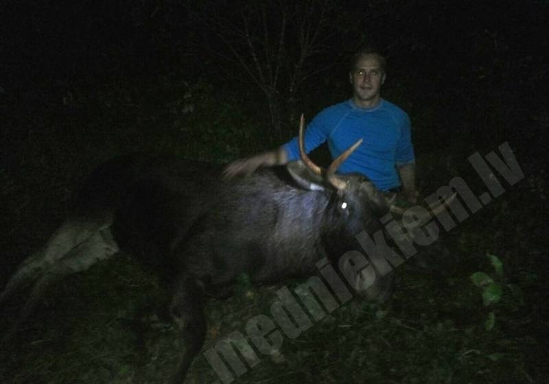 Pirmais bullis- 6 žuburi