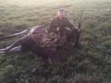 pirmais alnis