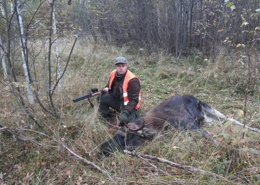 Mans pirmais aļņu bullis 10.10.2015.