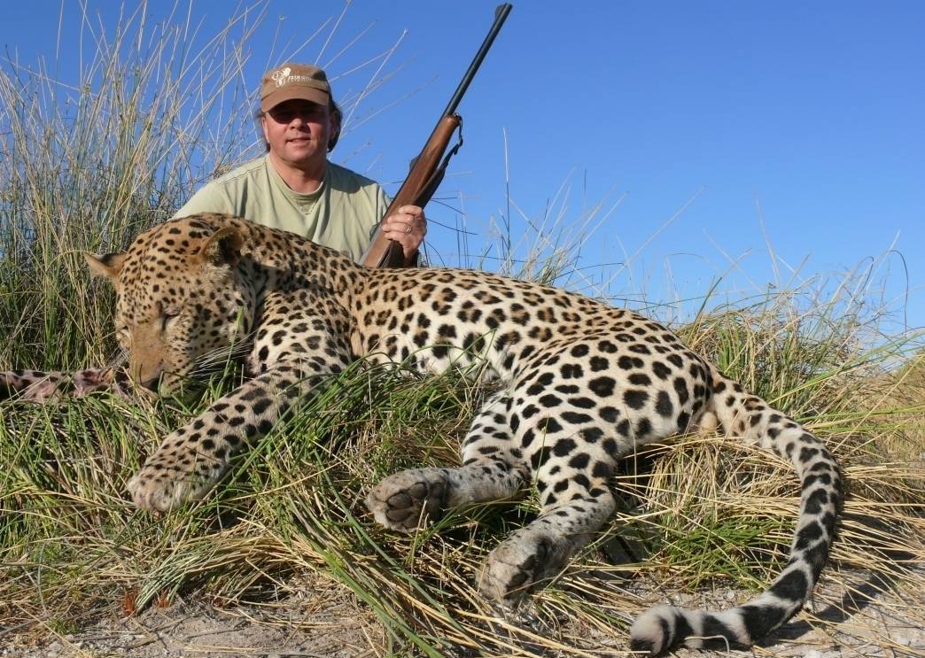Leopards