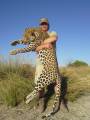 Leopards
