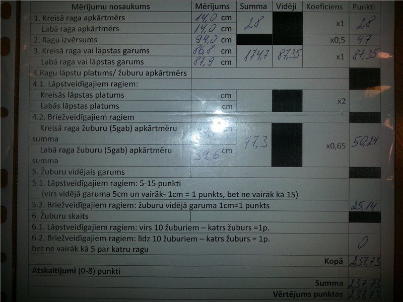 Andris
