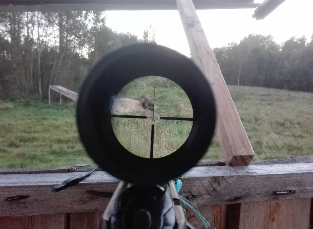 Uz grauda:)