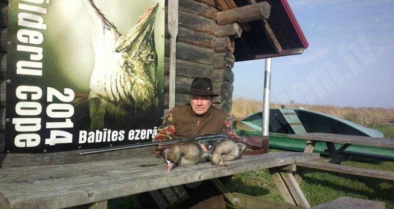 Babītes zosis.