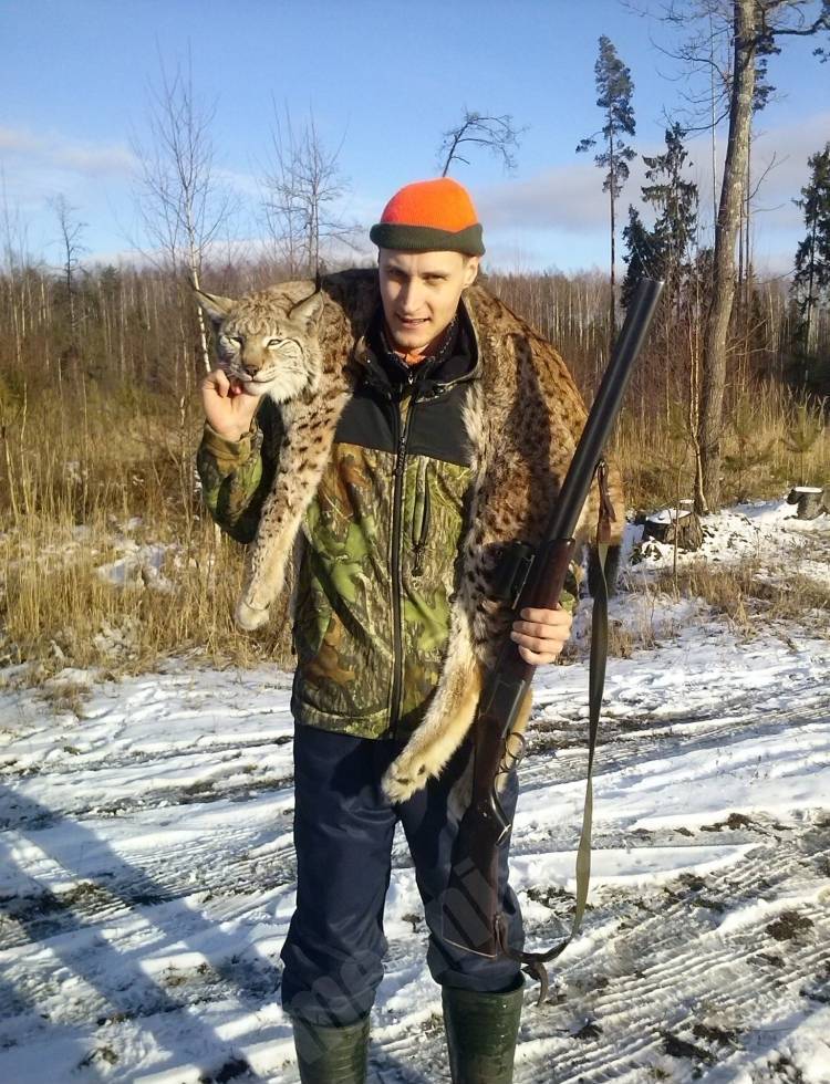 Lūsis