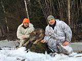 Vilks