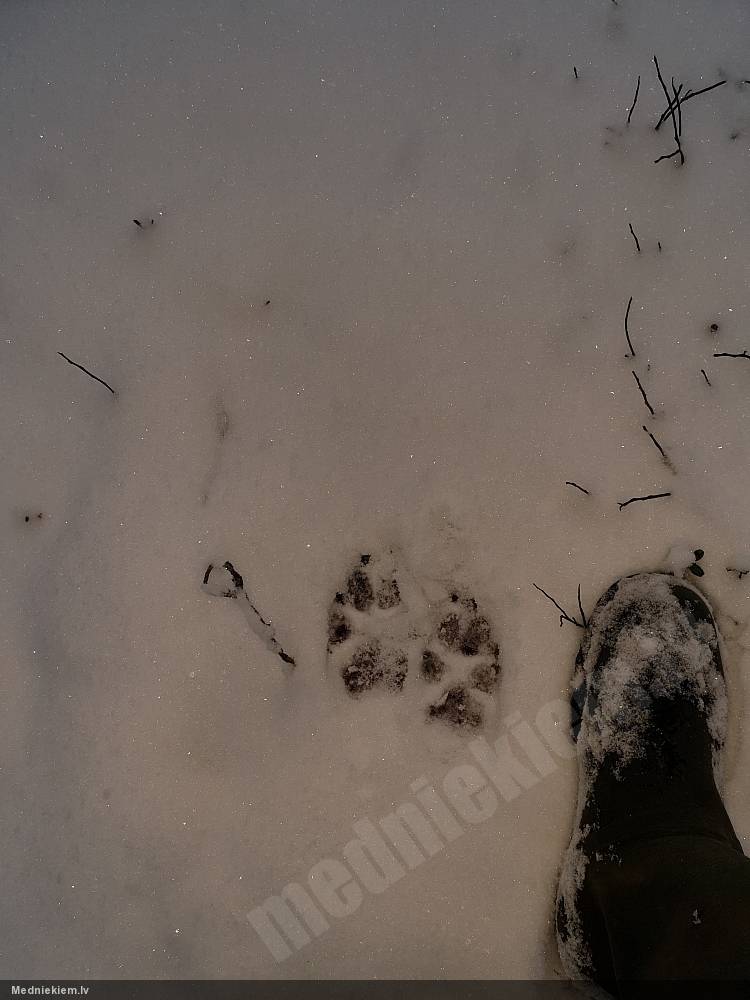 ?